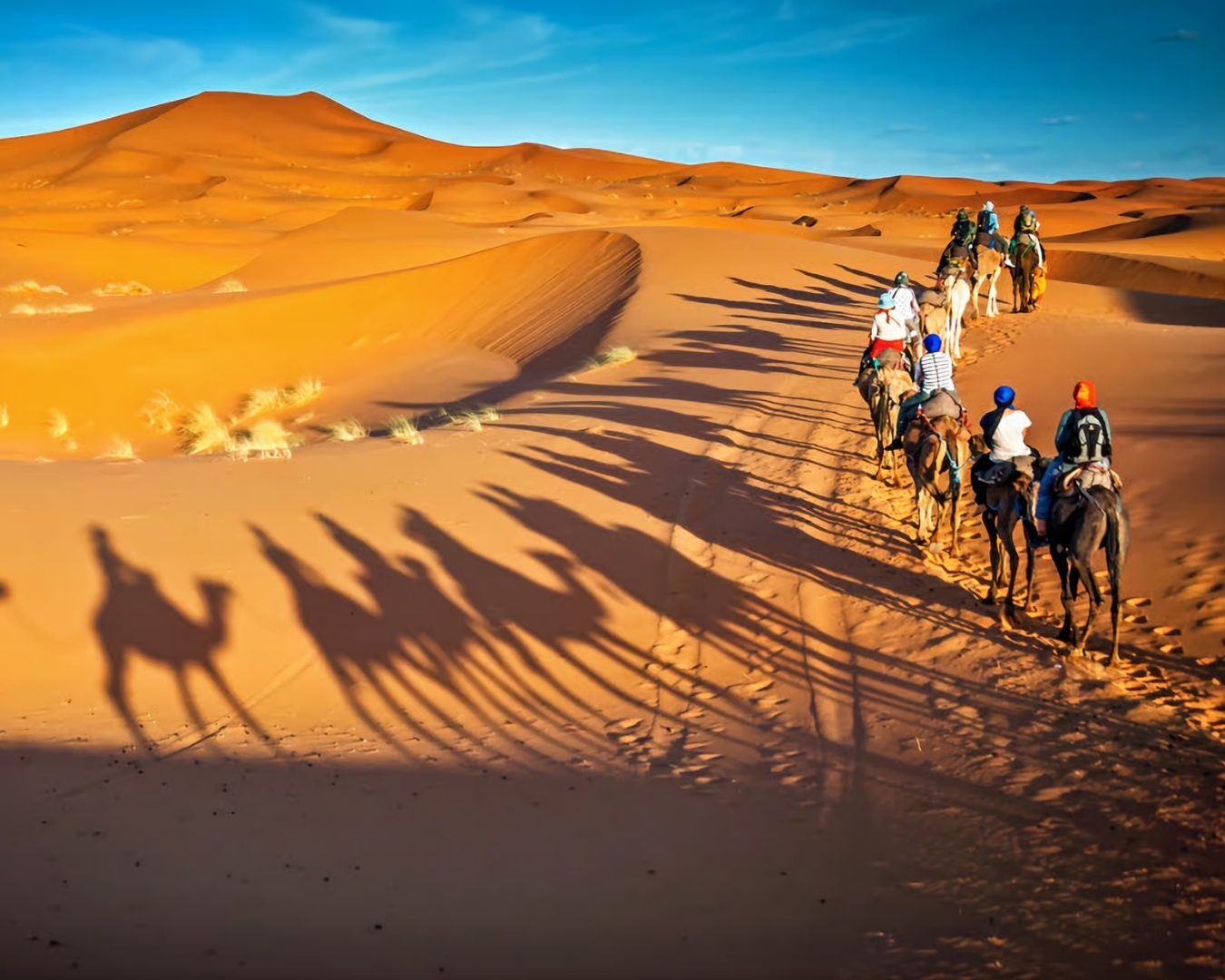 Camel ride through the Sahara Desert near Merzouga, Morocco