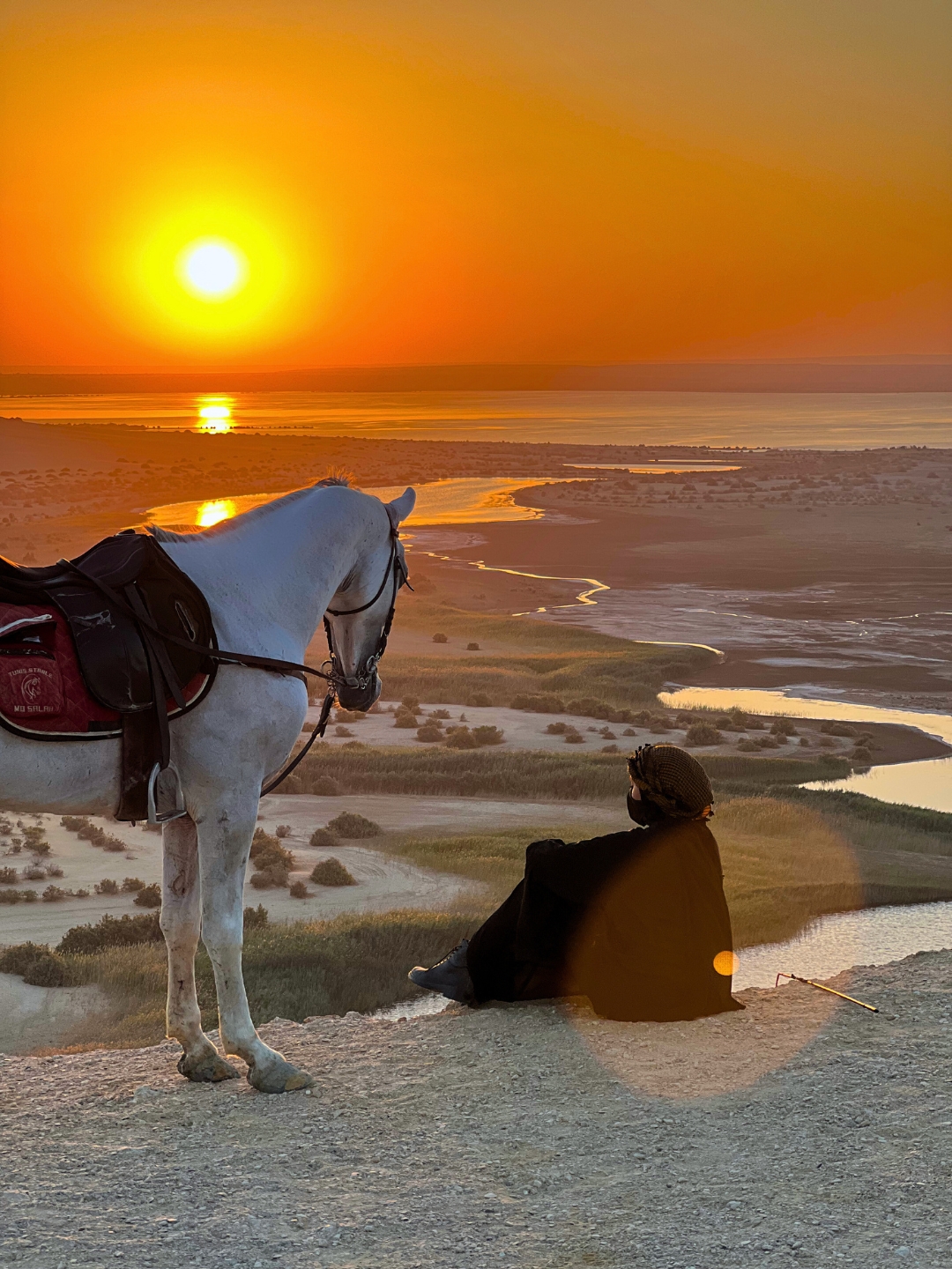 Woman sitting on the edge in the Egyptian desert in Fayoum with a horse during sunrise