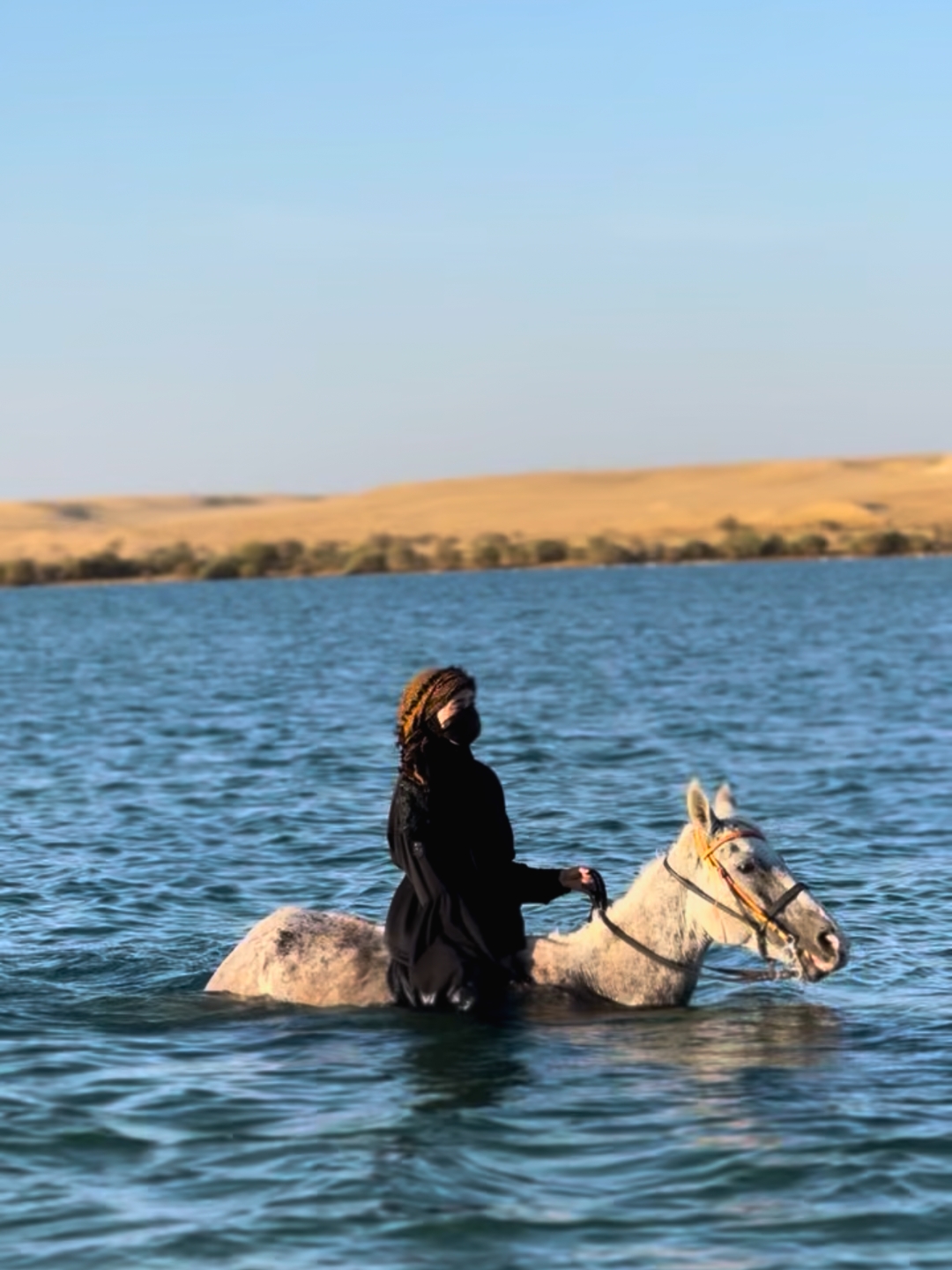 Woman on a horse swimming in the Magic Lake in Fayoum, Egypt