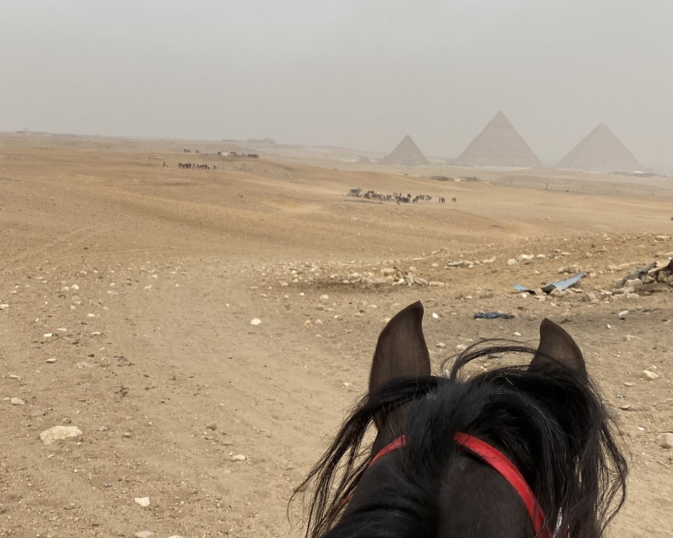 Horse riding in the desert with a view of the Pyramids of Giza in Cairo Egypt